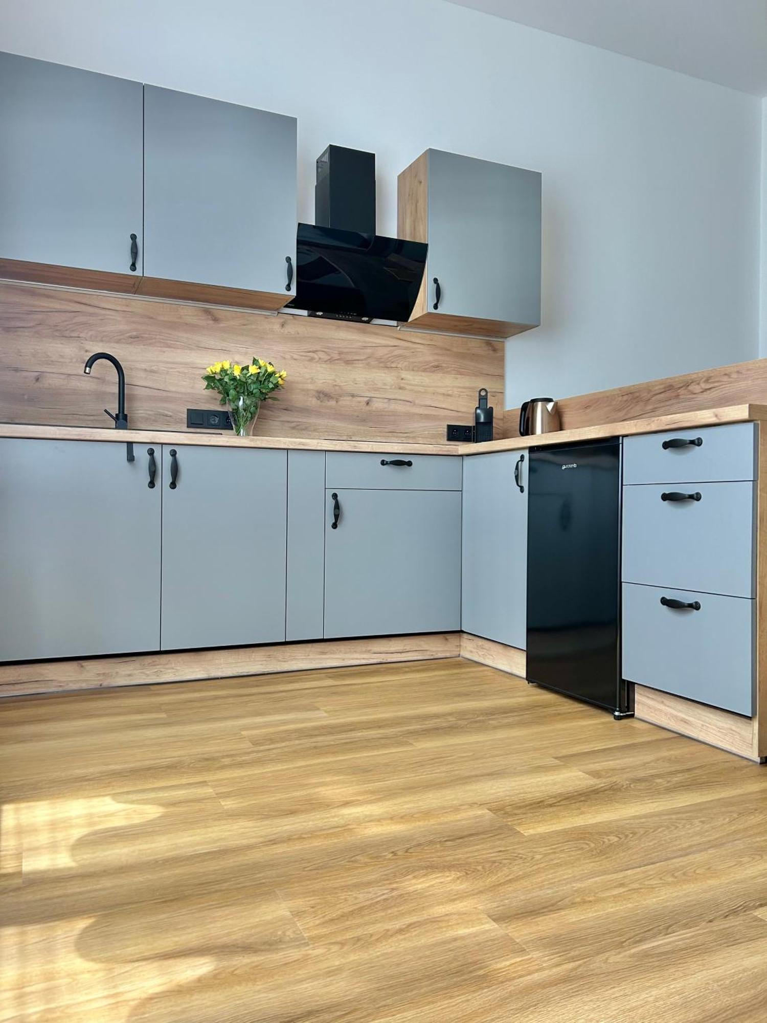 Dita Apartment *